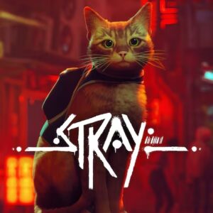 Portada Stray